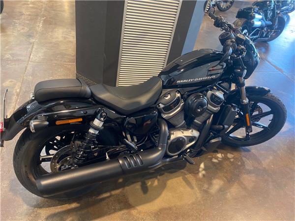 Harley-Davidson Nightster 975 - 2024