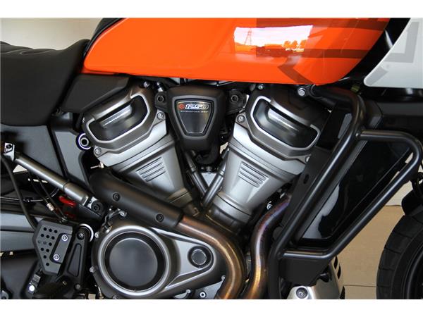 RAI250S PAN AMERICA SPECIAL MY2021