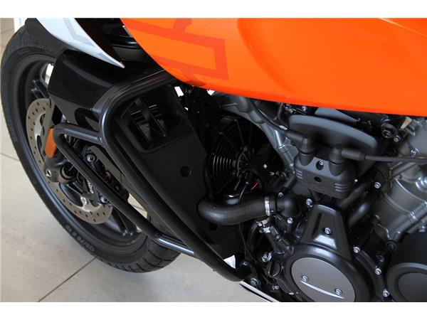 RAI250S PAN AMERICA SPECIAL MY2021