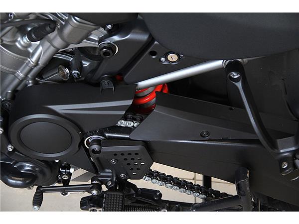 RAI250S PAN AMERICA SPECIAL MY2021