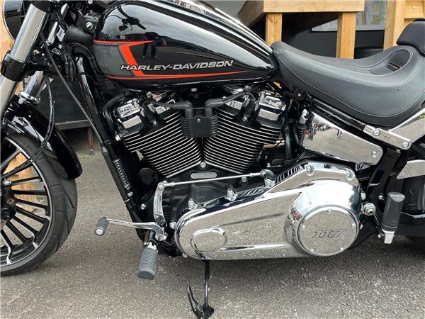 2024 Harley-Davidson Softail