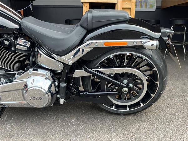 2024 Harley-Davidson Softail