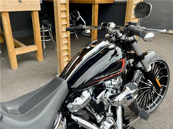 2024 Harley-Davidson Softail