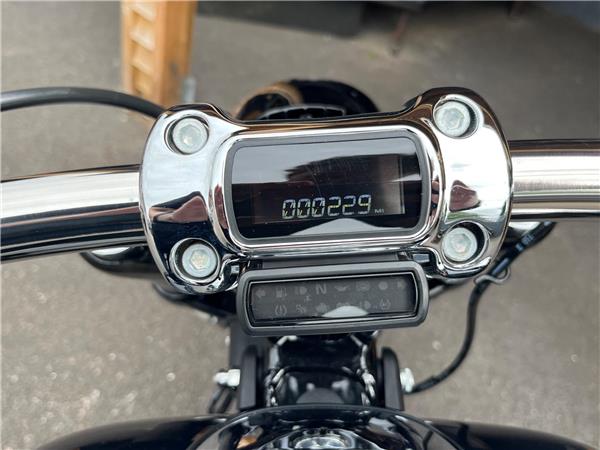 2024 Harley-Davidson Softail