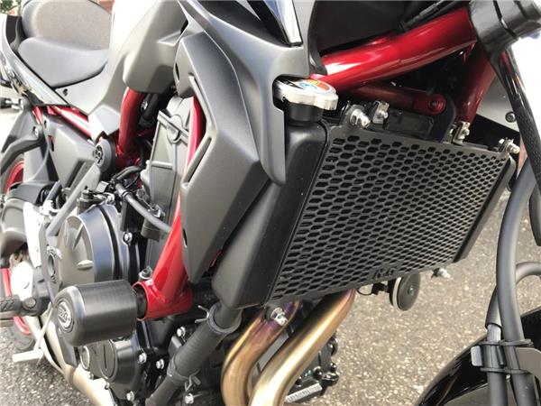2024 Kawasaki Z650
