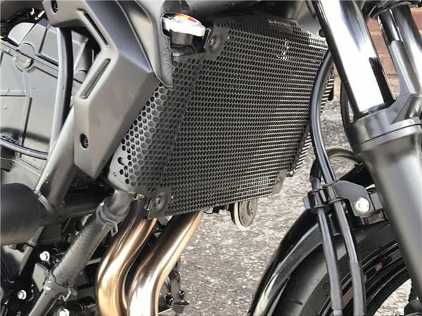2024 Kawasaki Z650