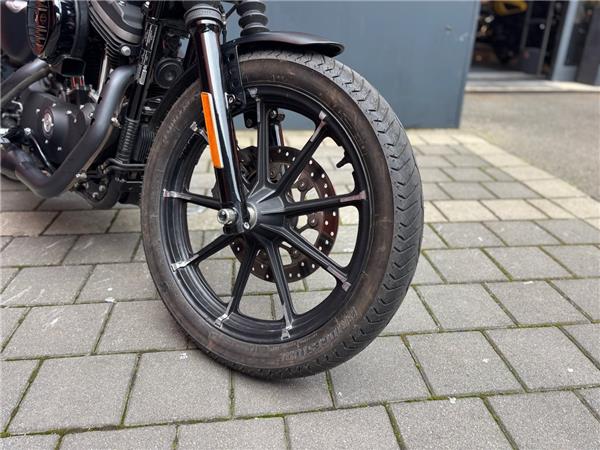 2020 Harley-Davidson Sportster XL 883 N Iron