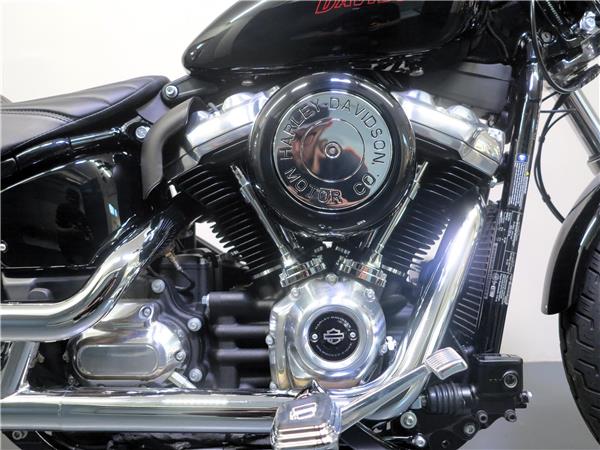 2024 HARLEY-DAVIDSON Softail FXST Softail Standard 107
