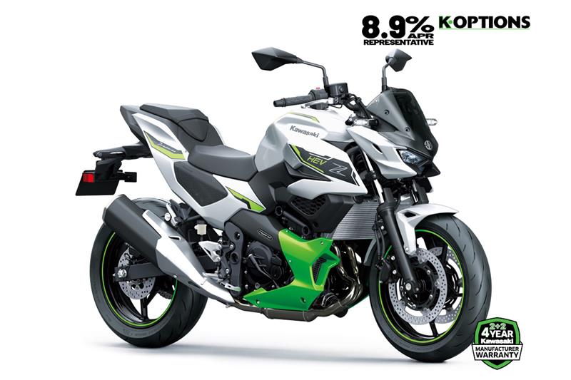 Metallic Bright Silver + Metallic Matte Lime Green + Ebony