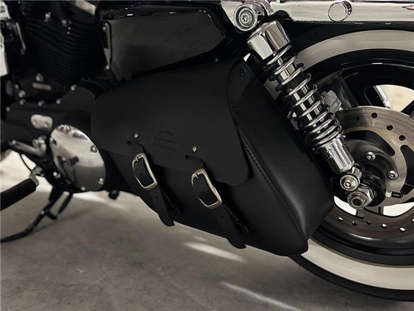 2015 Harley-Davidson Sportster XL 1200CA