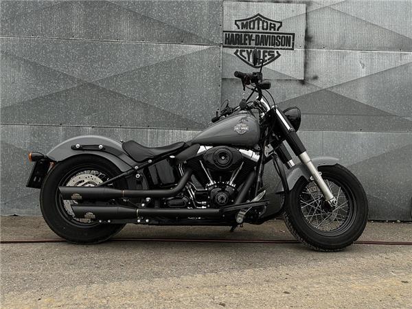 2014 Harley-Davidson Softail Slim FLS