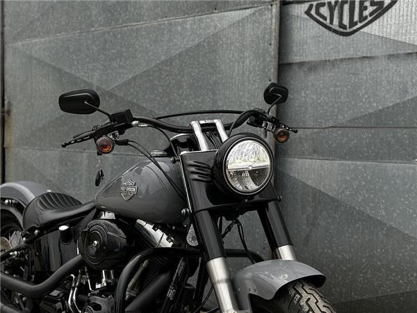 2014 Harley-Davidson Softail Slim FLS