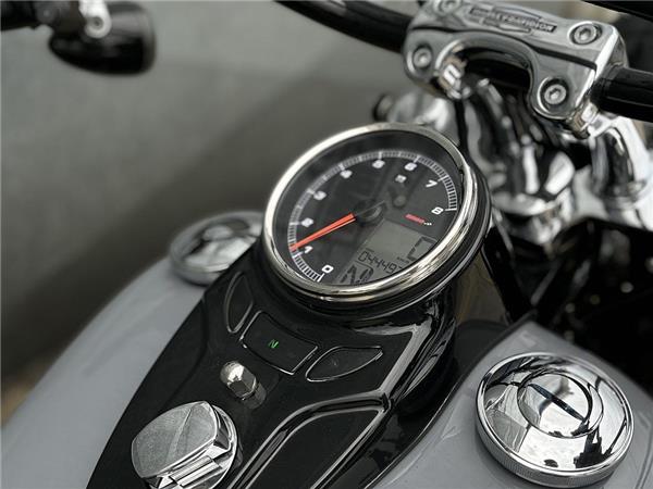 2014 Harley-Davidson Softail Slim FLS
