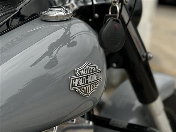 2014 Harley-Davidson Softail Slim FLS