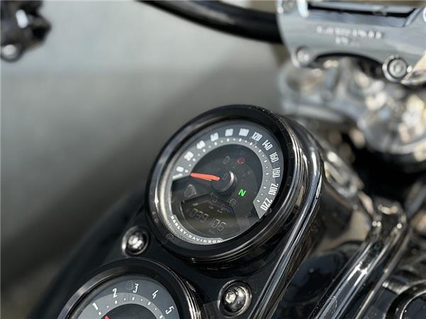 2019 Harley-Davidson Softail Low Rider FXLR