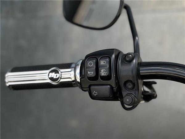 2019 Harley-Davidson Softail Low Rider FXLR