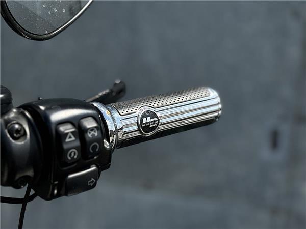 2019 Harley-Davidson Softail Low Rider FXLR