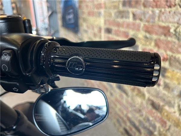 2017 Harley-Davidson Sportster