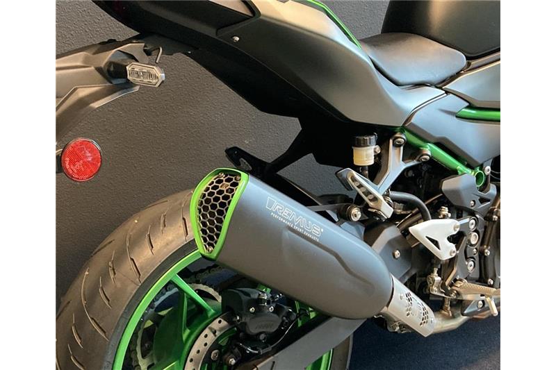 Remus sports exhaust with coloured trim