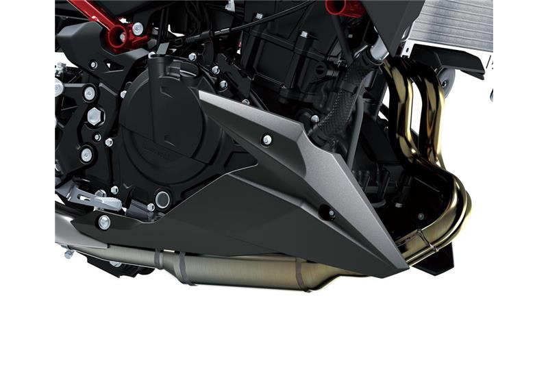 Lower cowling (Bellypan)