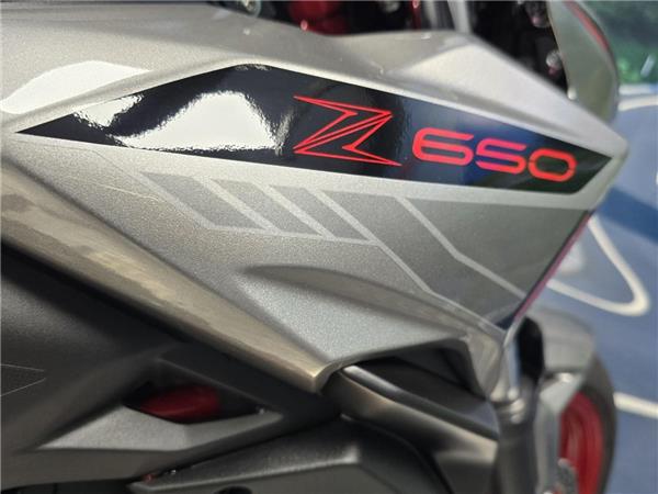 2023 Kawasaki Z650
