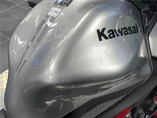 2023 Kawasaki Z650