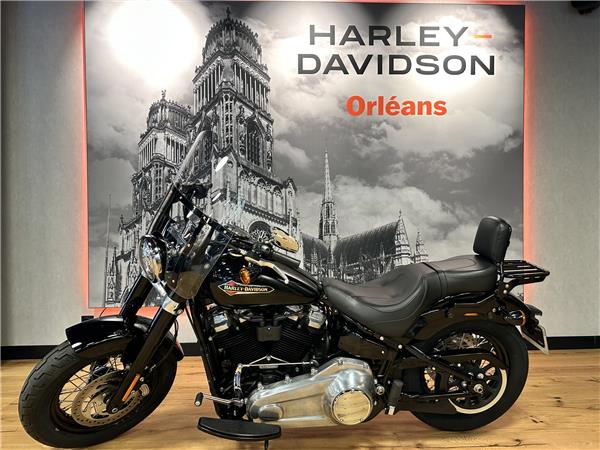 2019 HARLEY-DAVIDSON SLIM