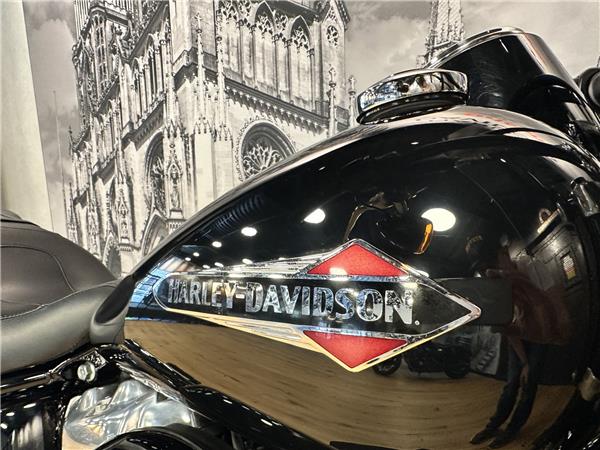 2019 HARLEY-DAVIDSON SLIM