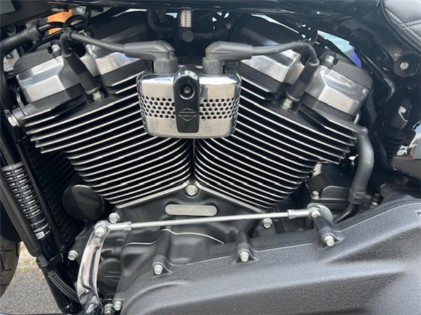 2021 HARLEY-DAVIDSON LOW RIDER S