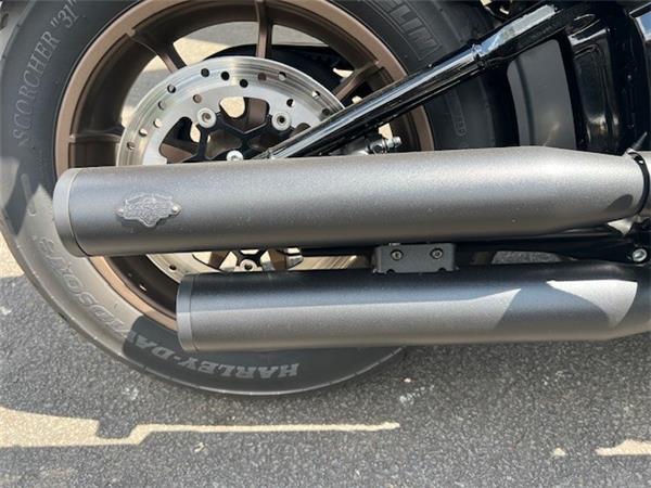 2021 HARLEY-DAVIDSON LOW RIDER S
