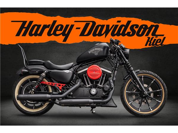 Harley-Davidson Kiel XL883N SPORTSTER IRON 883 - MILLER AUSPUFF -