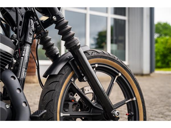 Harley-Davidson Kiel XL883N SPORTSTER IRON 883 - MILLER AUSPUFF -