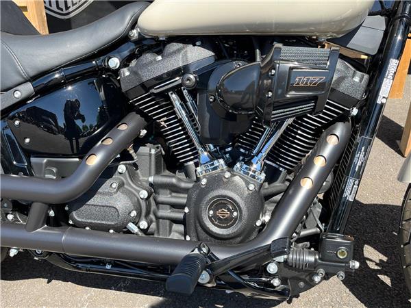 2025 Harley-Davidson Softail