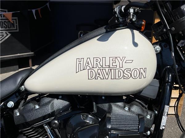 2025 Harley-Davidson Softail