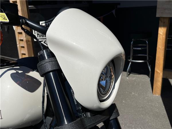 2025 Harley-Davidson Softail
