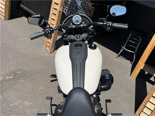 2025 Harley-Davidson Softail