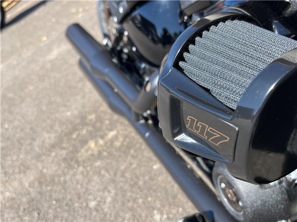 2025 Harley-Davidson Softail