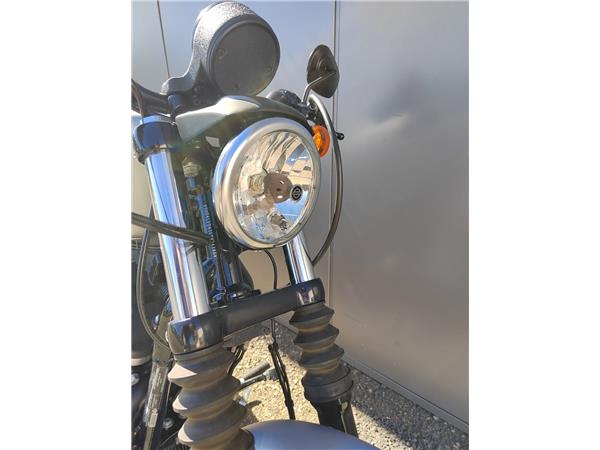 2020 Iron 883