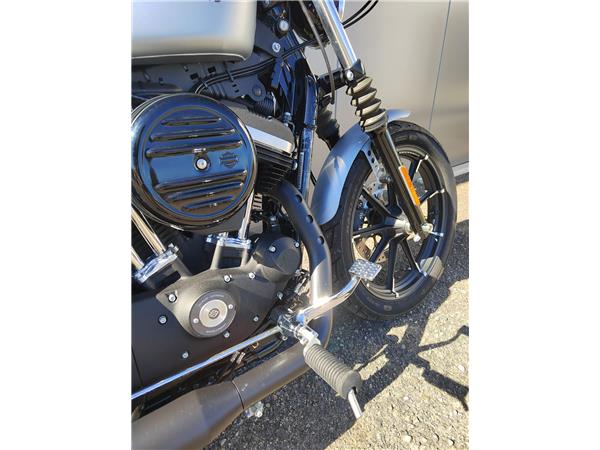 2020 Iron 883