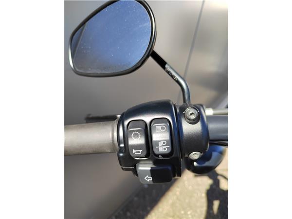 2020 Iron 883