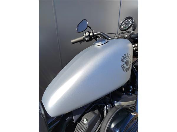 2020 Iron 883