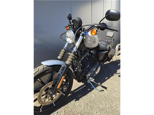 2020 Iron 883