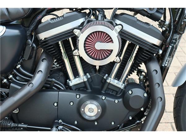 2019 HARLEY-DAVIDSON SPORTSTER XL883N IRON