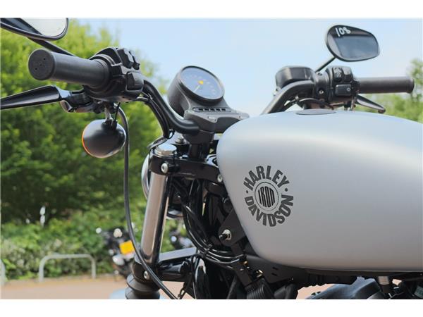 2019 HARLEY-DAVIDSON SPORTSTER XL883N IRON