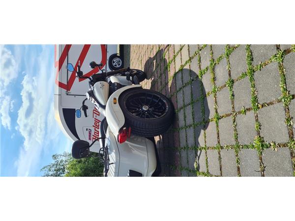 FLRT FREEWHEELER 