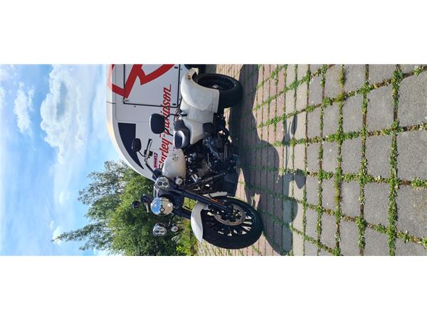 FLRT FREEWHEELER 