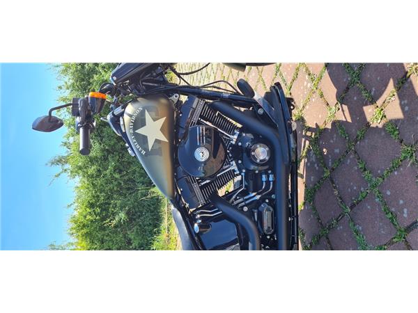 FLSS SOFTAIL SLIM S 