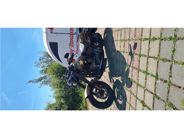 FLSS SOFTAIL SLIM S 