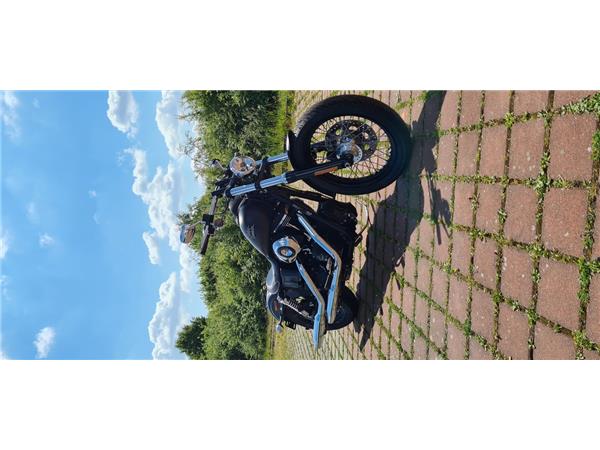 FXDB STREET BOB 