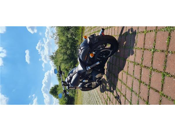 FXDB STREET BOB 
